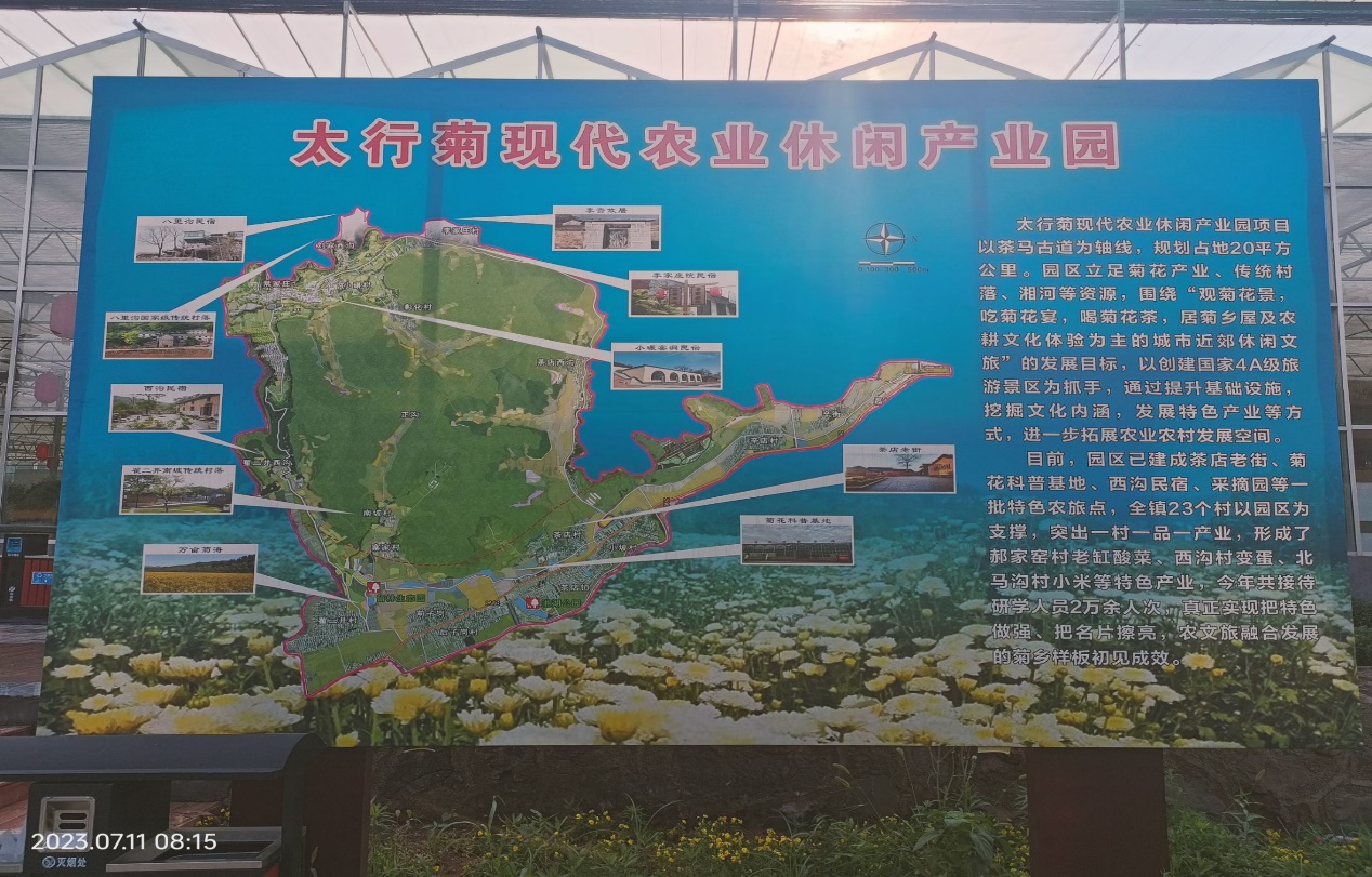 英国上市公司365